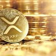 Ripple xrp