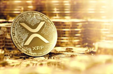 Ripple xrp golden coin stacks