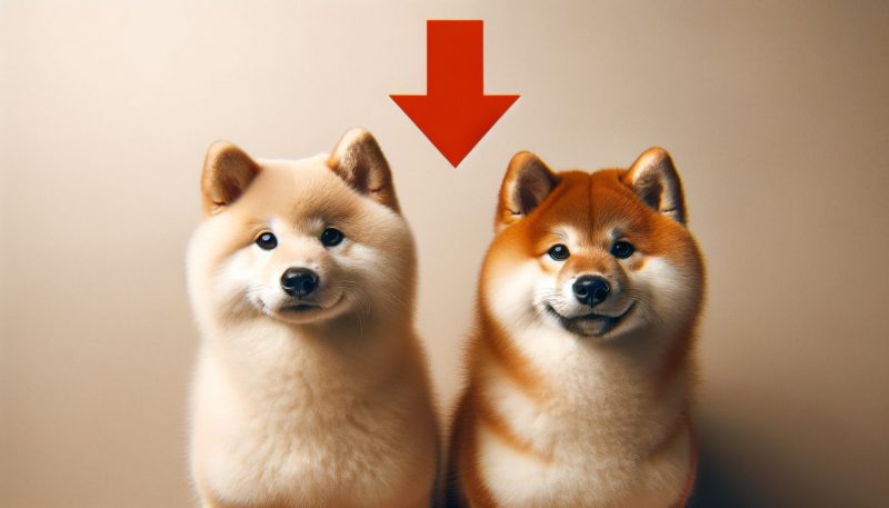 shiba inu dogecoin