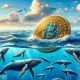 bitcoin whales ocean