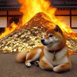 Shiba inu burning coins