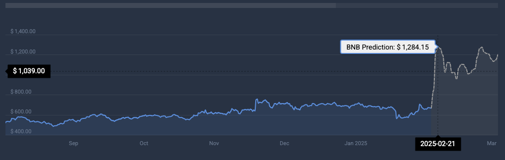 Binance Coin terms prediction