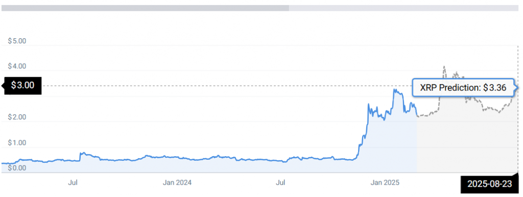 XRP統計