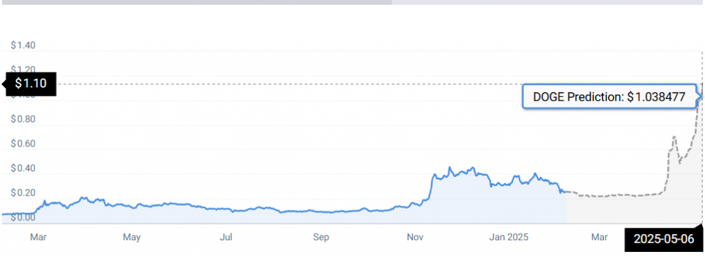 DOGE STATS