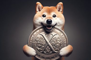 Shiba Inu XRP