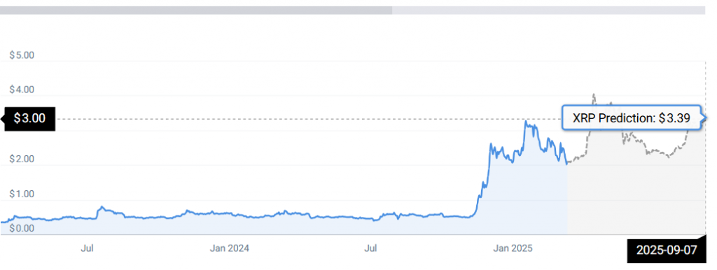 XRP STATS