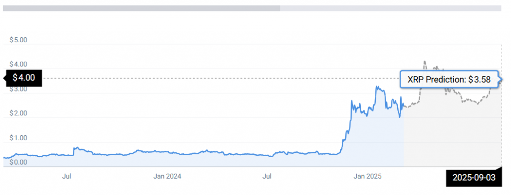 XRP STATS