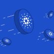 cardano blue background