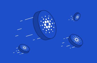 cardano blue background