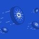 cardano blue background