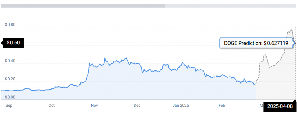 DOGE STATS