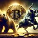 btc bear bull