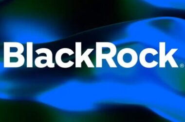 BlackRock logo on blue wavy background