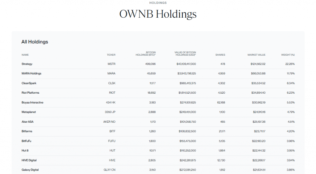 OWNB Holdings showing companies with Bitcoin reserves