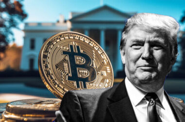 Trump portrait with Bitcoin and White House in background