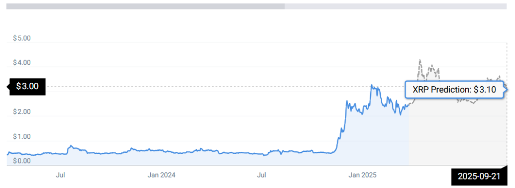 XRP STATS