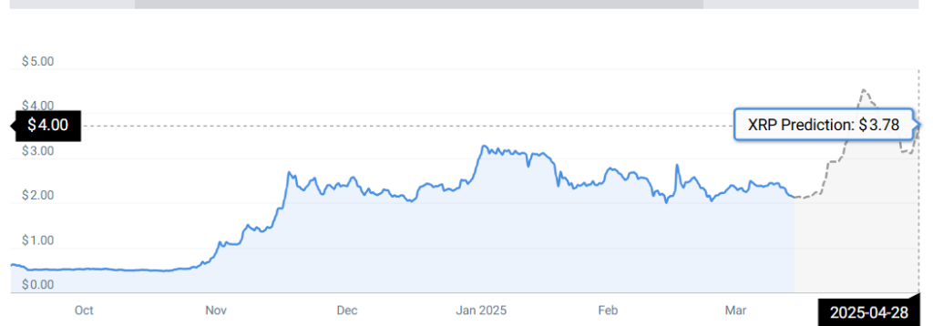 XRP STATS