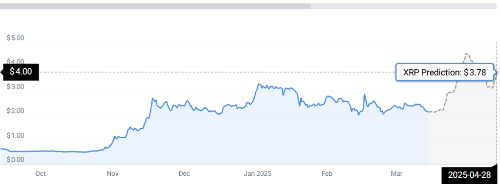 XRP STATS
