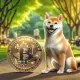 Shiba Inu dog sitting next to large Bitcoin coin in park