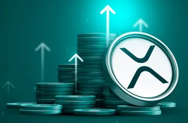 MD Puts 100% Into XRP