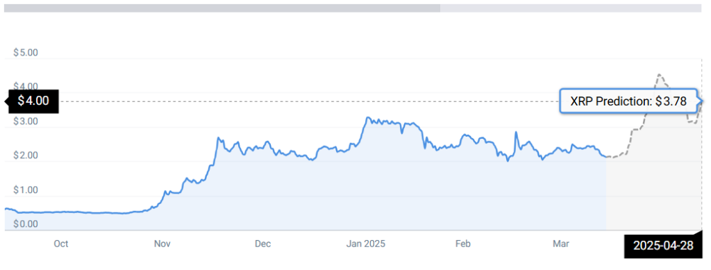 XRP STATS