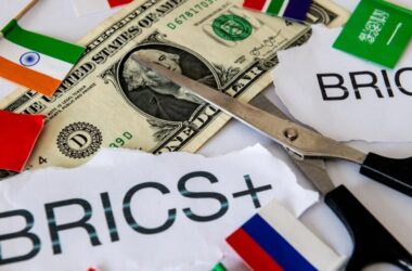 brics and the us dollar