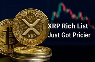 XRP Rich List Just Got Pricier