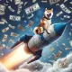 shiba inu money
