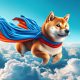 SHIB flying