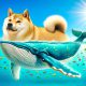 Whale Watchers Stunned By SHIB Holder Move