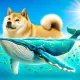 Whale Watchers Stunned By SHIB Holder Move