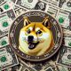 dogecoin money