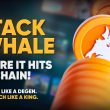 whale