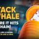 whale