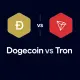 Doge vs TRX