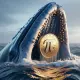 Pi Coin Network whale status