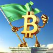 bitcoin green flag