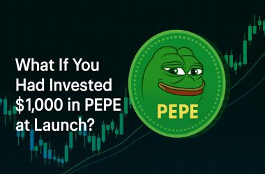 What If You Had Invested $1,000 in PEPE at Launch