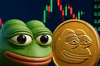 Owning 500 Million PEPE Before September Is Non-Negotiable