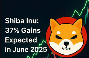 37% Gains Expected in June 2025 for SHIB
