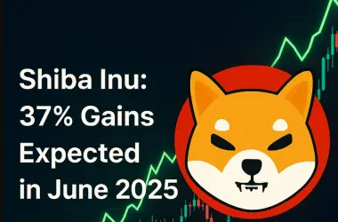 37% Gains Expected in June 2025 for SHIB