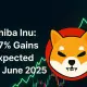 37% Gains Expected in June 2025 for SHIB