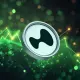 HYPE Surges 12% & Eyes New ATH