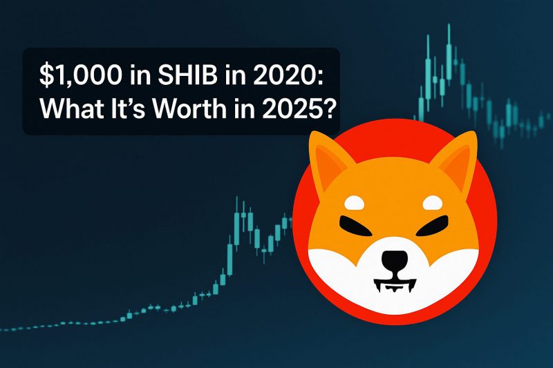 Shiba Inu logo with price chart showing growth from 2020 to 2025