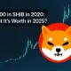 Shiba Inu logo with price chart showing growth from 2020 to 2025