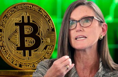 cathie wood bitcoin