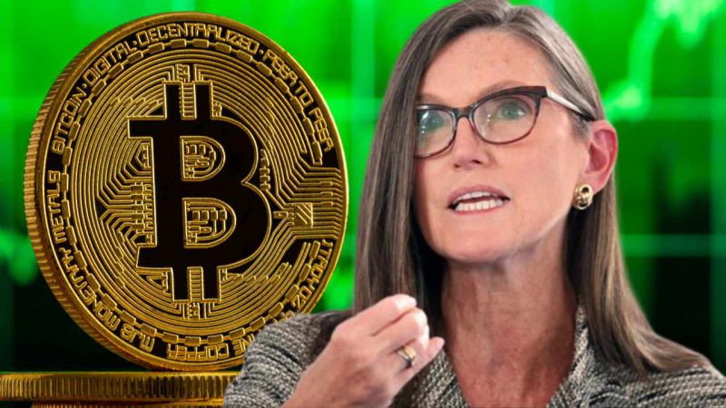 cathie wood bitcoin