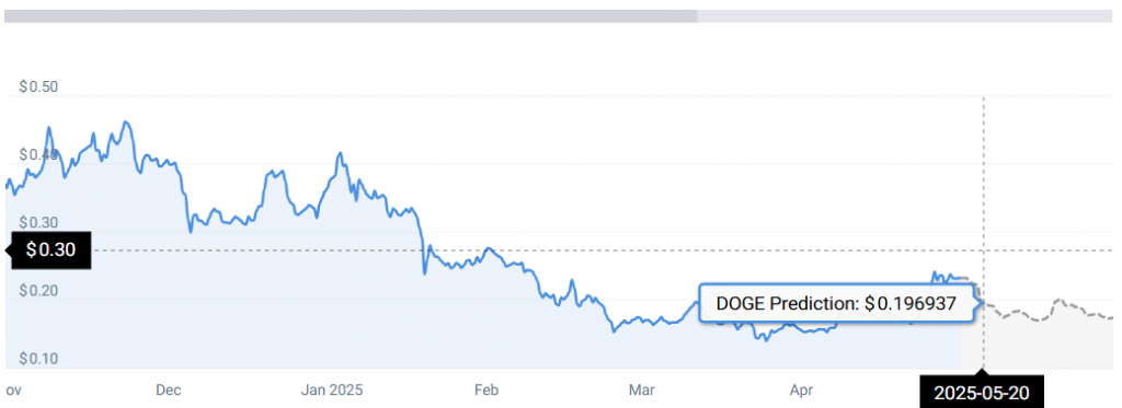 DOGE STATS