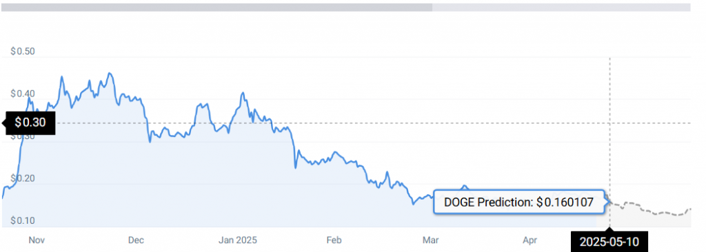 DOGE STATS