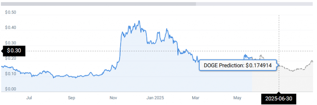 DOGE STATS